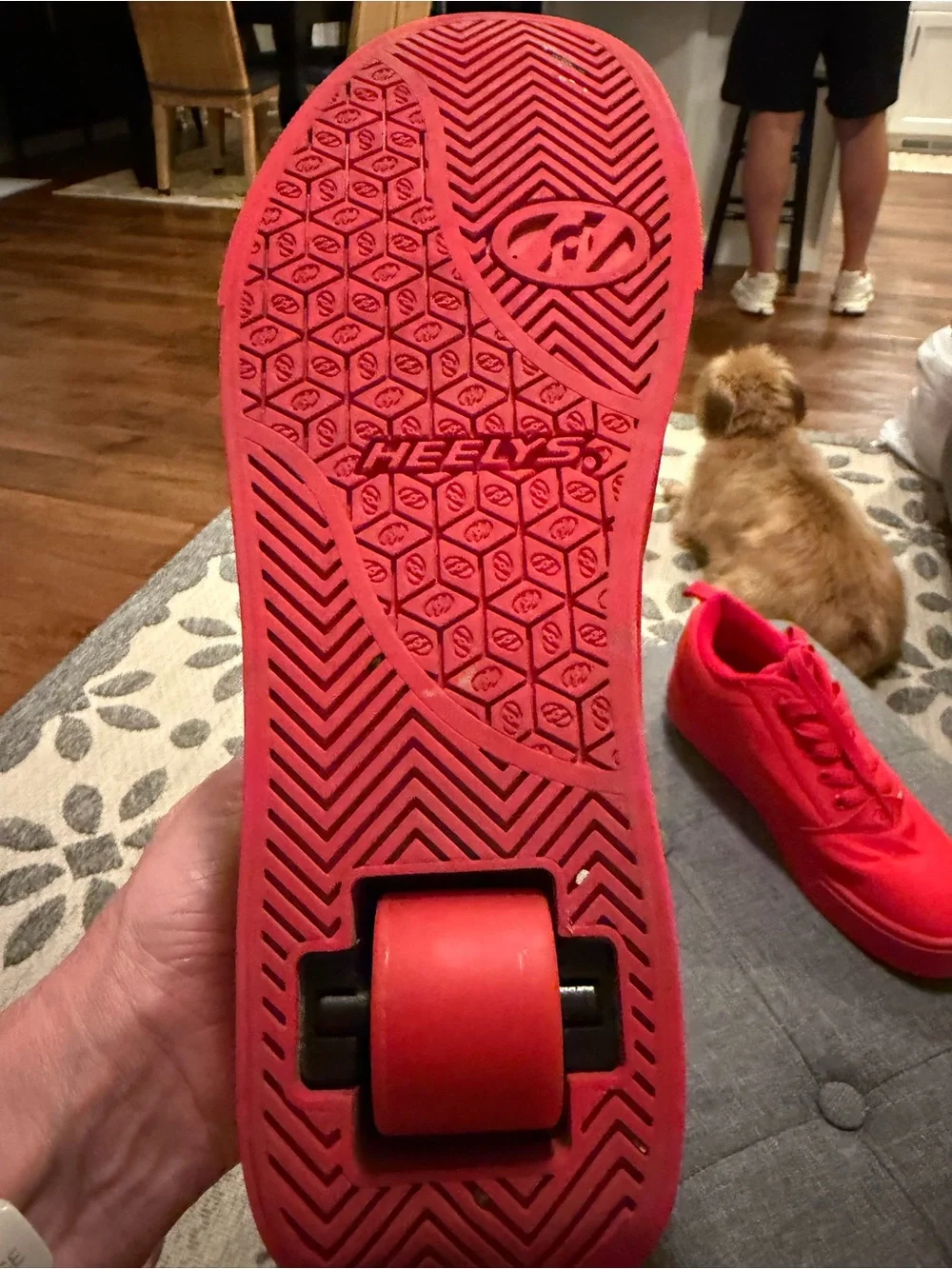 Heelys Red Low-Top Sneakers